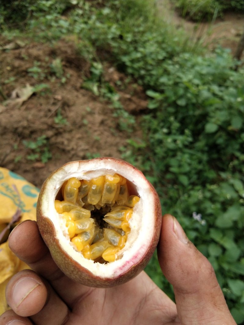 百香果酸酸甜甜好汁味