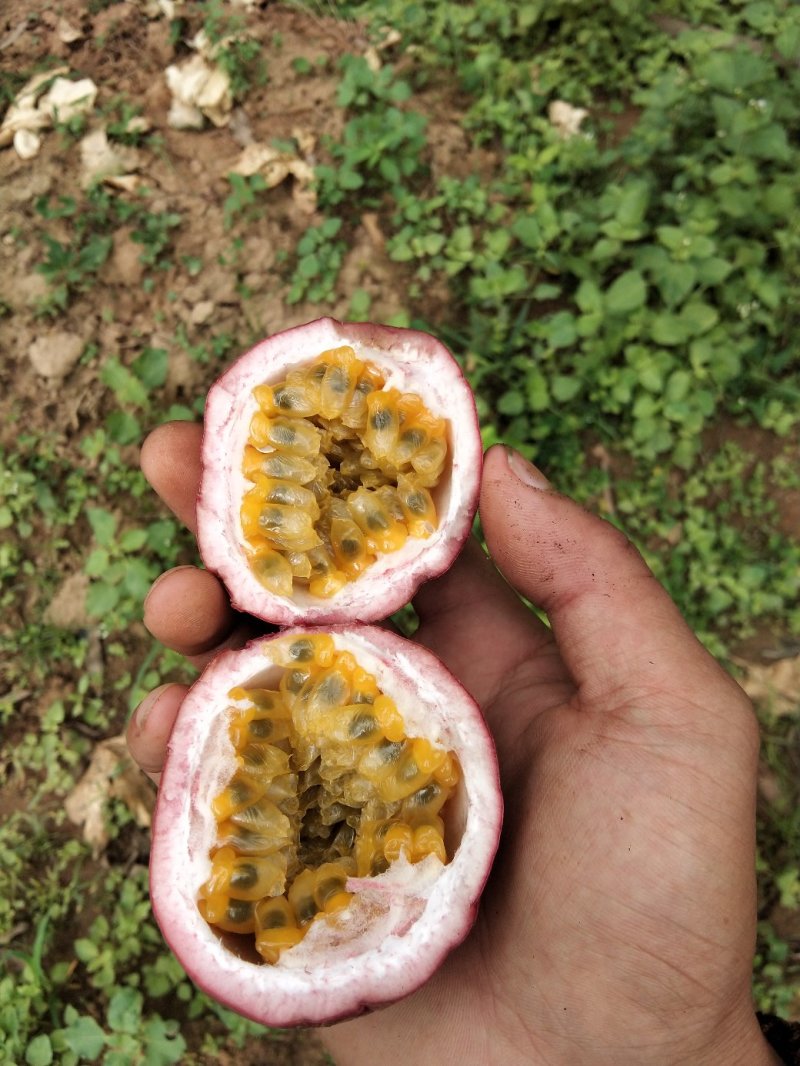百香果酸酸甜甜好汁味