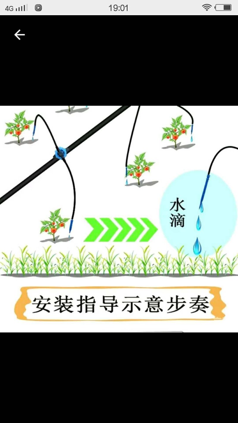 滴箭花卉、果树滴灌，距离可定制，有单箭、双箭、四箭