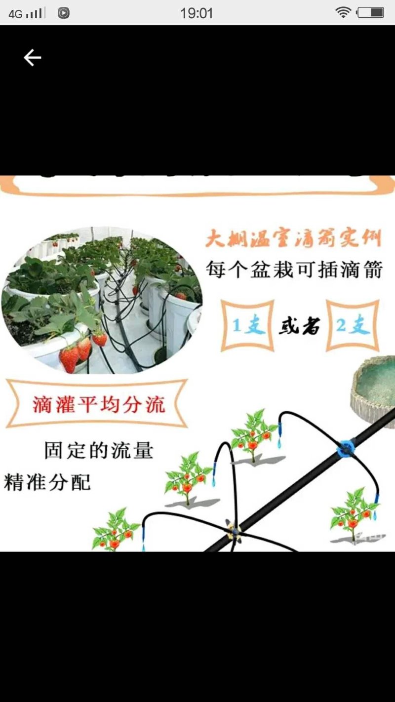 滴箭花卉、果树滴灌，距离可定制，有单箭、双箭、四箭