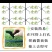 滴箭花卉、果树滴灌,距离可定制,有单箭、双箭、四箭