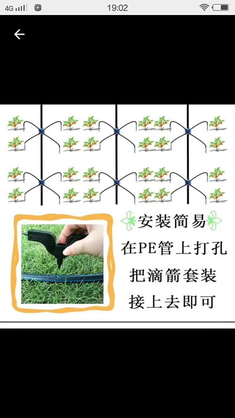 滴箭花卉、果树滴灌，距离可定制，有单箭、双箭、四箭