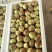 冬枣。金丝小枣。