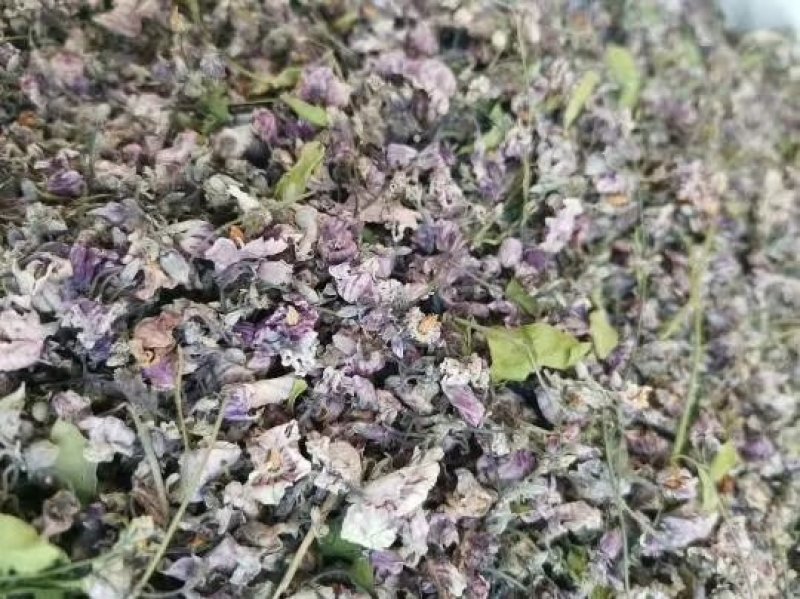 罗布麻花茶降血脂血压血糖