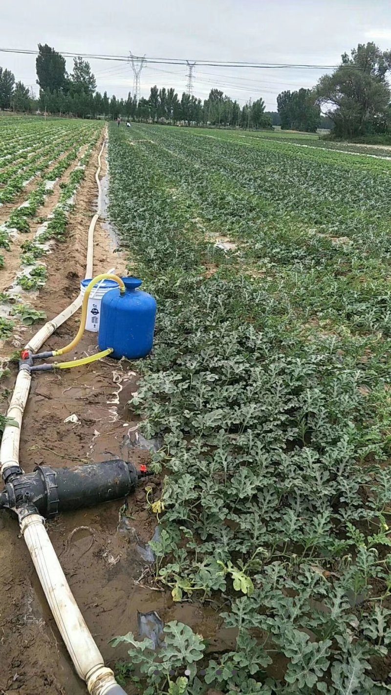 过滤器网式过滤器碟片过滤器拆卸清洗方便