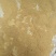 山东正品蒲黄，野生蒲黄，质量保证量大从优