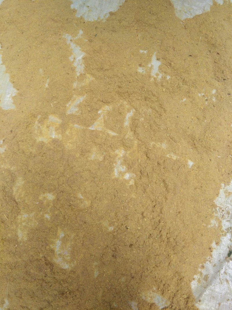 山东正品蒲黄，野生蒲黄，质量保证量大从优