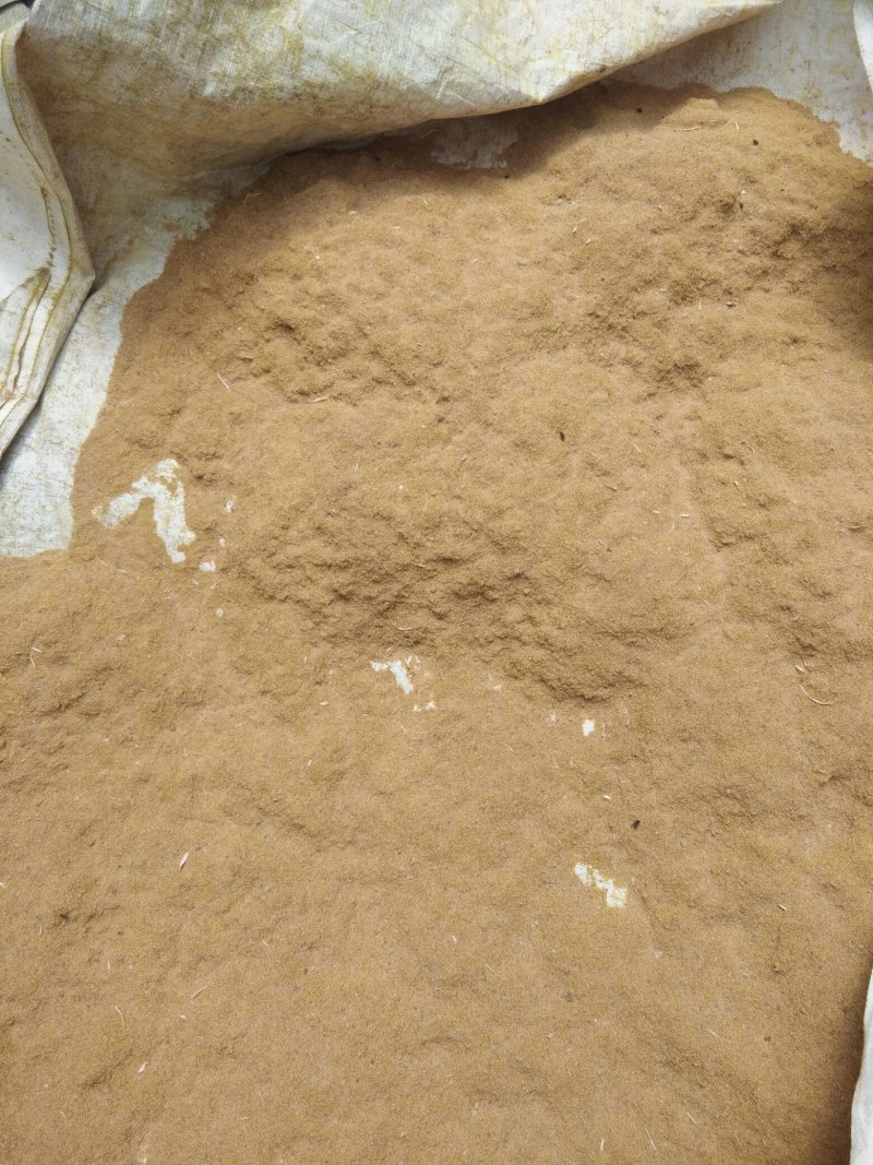 山东正品蒲黄，野生蒲黄，质量保证量大从优