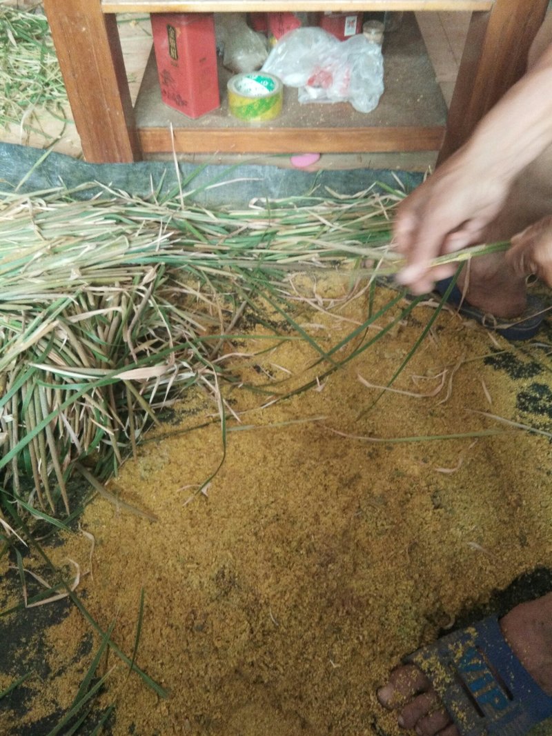 山东正品蒲黄，野生蒲黄，质量保证量大从优