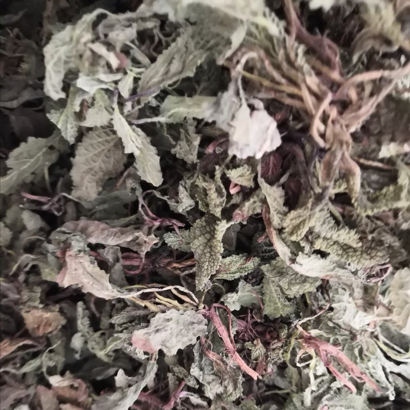 蛤蟆草水洗货净干