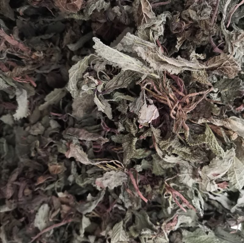 蛤蟆草水洗货净干