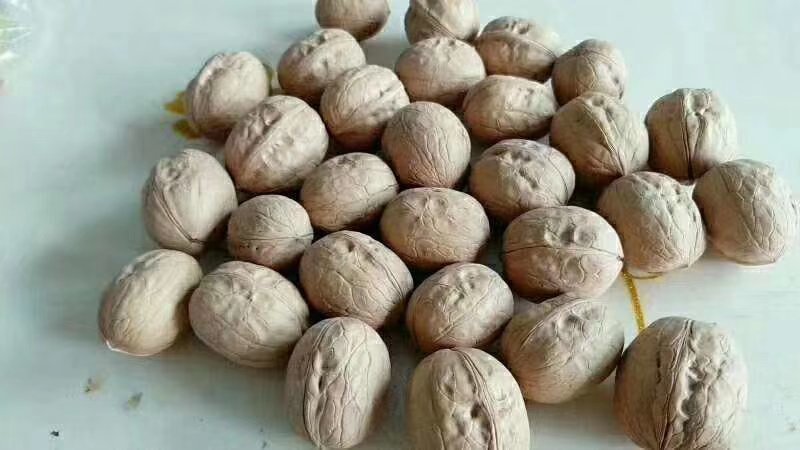 新疆阿克苏新2薄皮礼品核桃