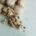 新疆阿克苏新2薄皮礼品核桃