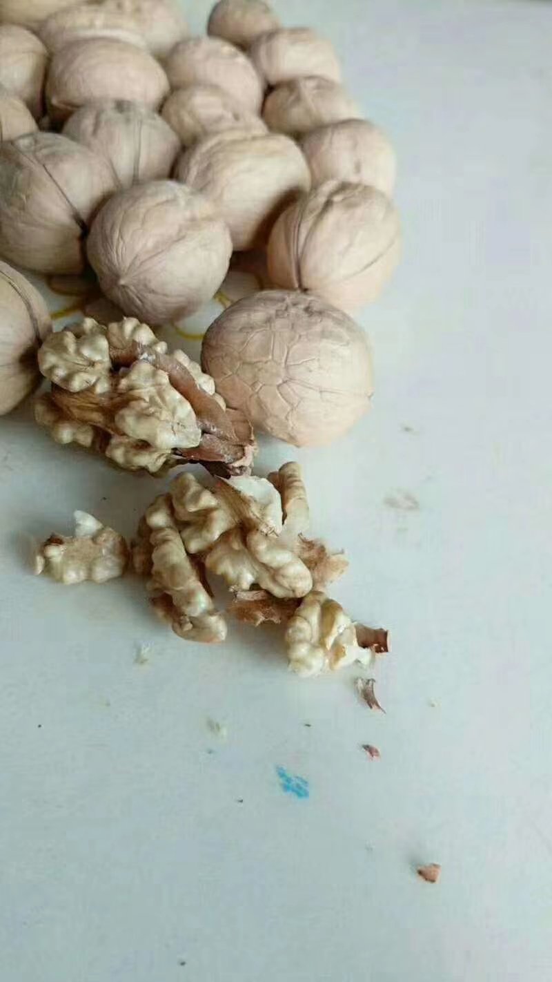 新疆阿克苏新2薄皮礼品核桃