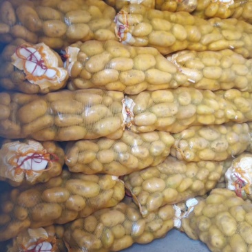 何兰十五，大量现货，质量好，价格便宜，供货量大