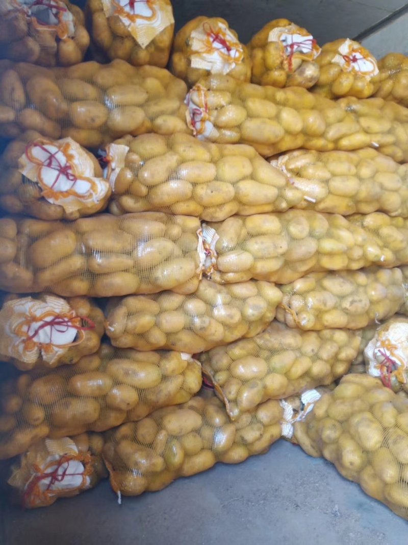何兰十五，大量现货，质量好，价格便宜，供货量大