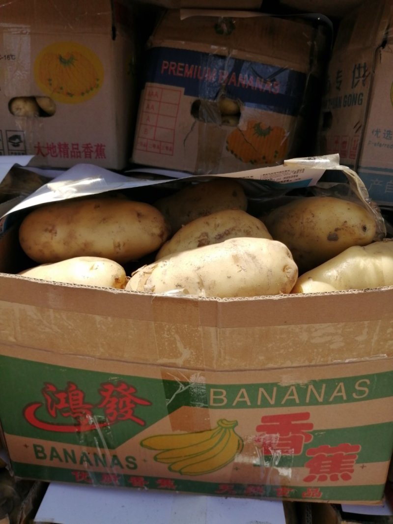 何兰十五，大量现货，质量好，价格便宜，供货量大