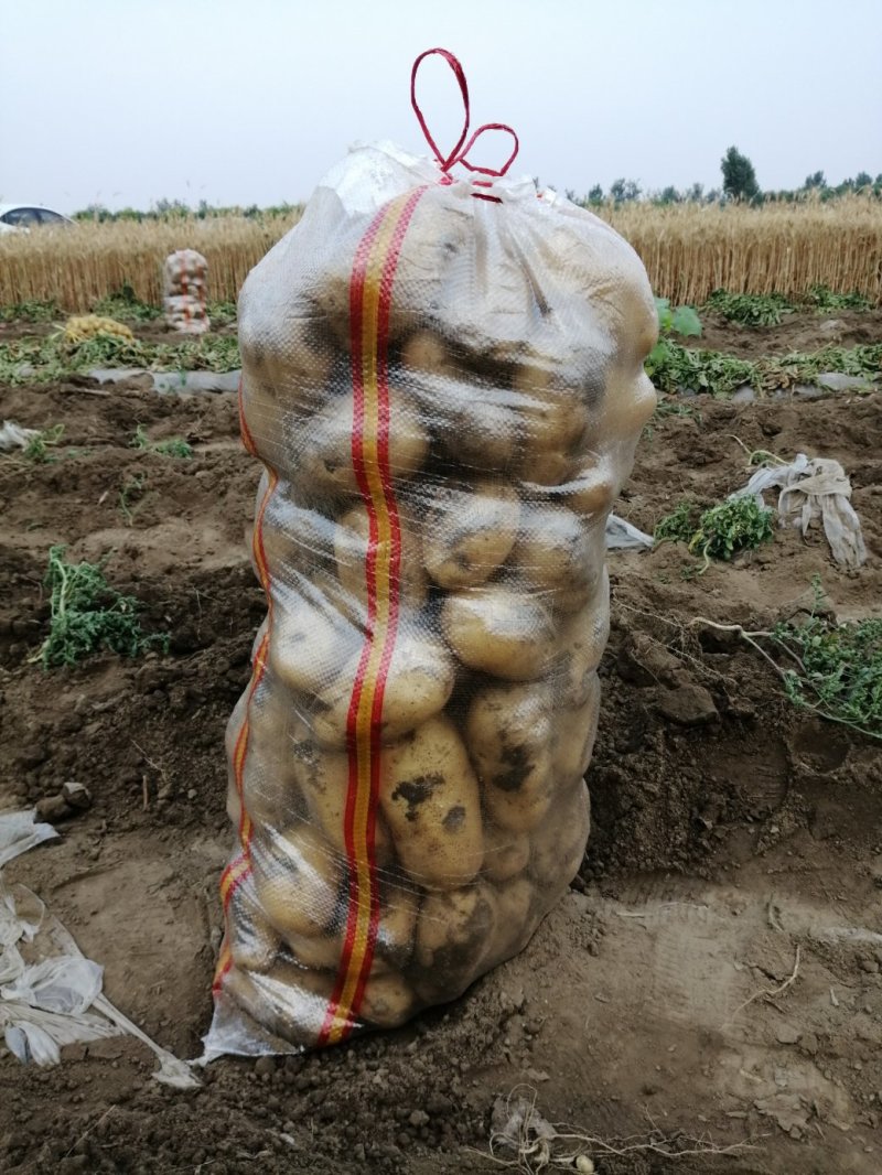 何兰十五，大量现货，质量好，价格便宜，供货量大