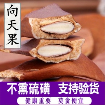 新货向天果颗粒饱满白仁批发零售量大从优各种种规格