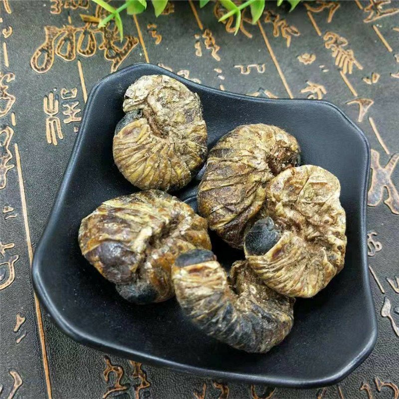 芝麻虫供应上千种中药材