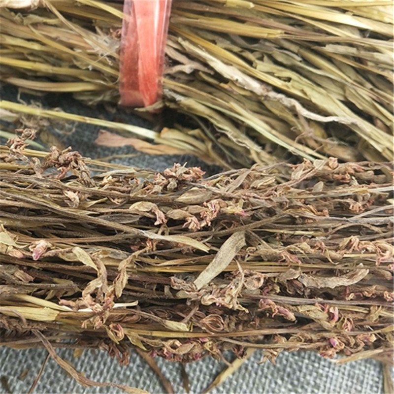 盘龙参供应上千种中药材