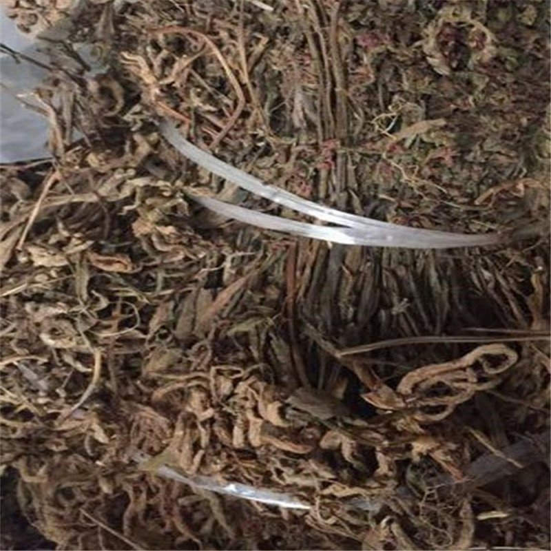 盘龙参供应上千种中药材
