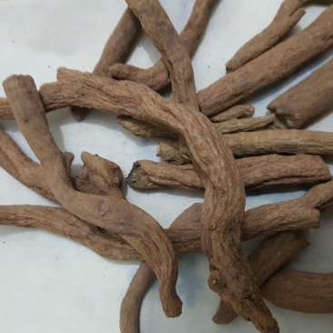 紫金龙正品供应上千种中药材