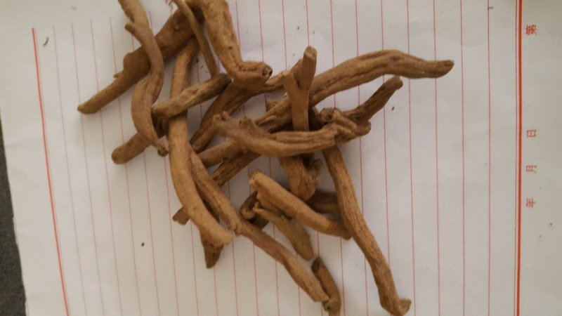 紫金龙正品供应上千种中药材