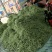 白豆角.白不老.质量好，.色泽好.