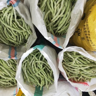 白豆角.白不老.质量好，.色泽好.