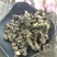 拐枣干供应上千种中药材
