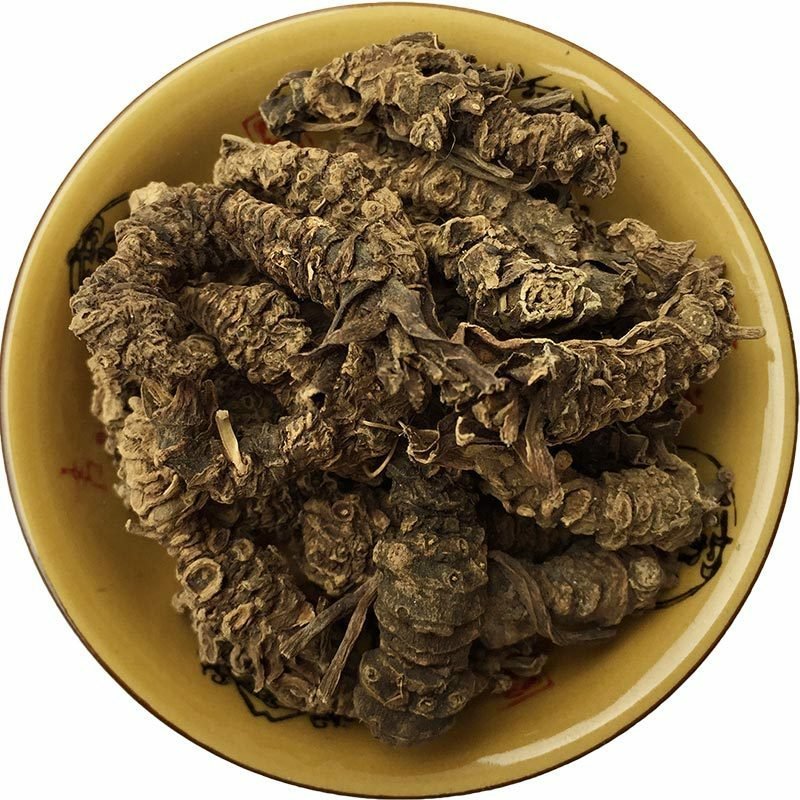 蜘蛛香供应上千种中药材