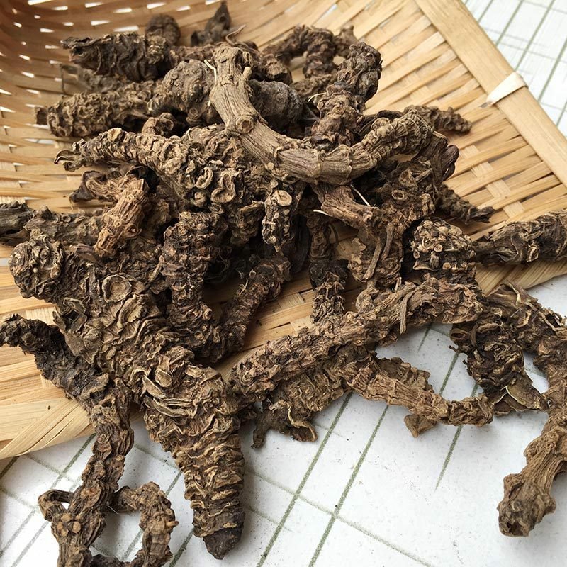 蜘蛛香供应上千种中药材