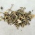 羊红膻羊红膳供应上千种中药材