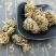 头顶一颗珠一颗珠供应上千种中药材