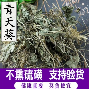 青天葵正品保证质量供应上千种中药材