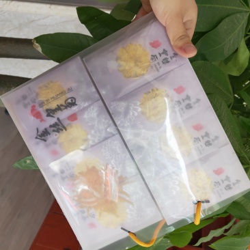 金丝皇菊40朵