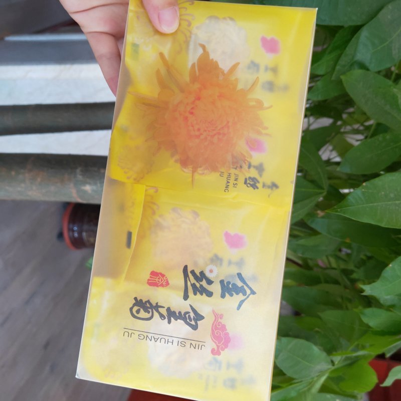 金丝皇菊40朵