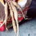 小叶牛大力