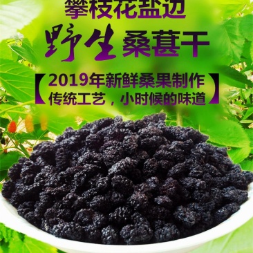 批发黑桑葚桑葚子水洗桑椹干无硫新货支持药检