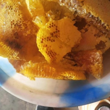 云南龙陵野生蜂蜜