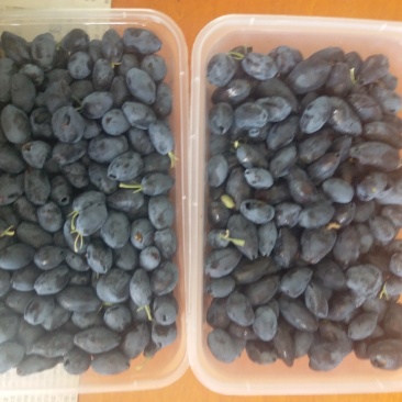 蓝靛果，黑瞎子果