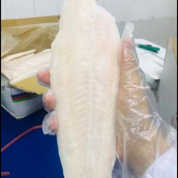 巴沙鱼，鱼柳长期大量有货