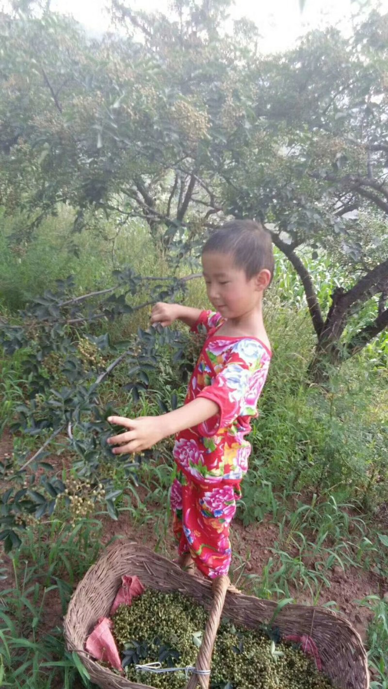 花椒