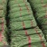 【推荐】产地大量供应精品长豆角，人工包装冷库齐全