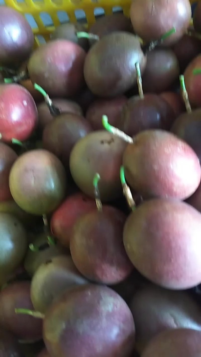 水果