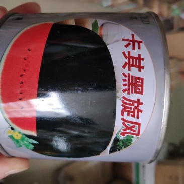 西瓜种子(卡其黑旋风黑皮西瓜种子)