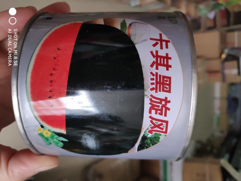 西瓜种子(卡其黑旋风黑皮西瓜种子)