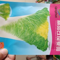 大白菜种子精品改良夏帅大白菜种子