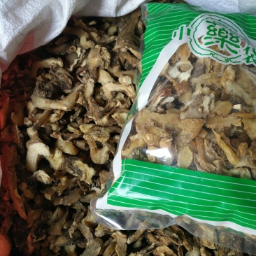 黄精生黄精优选精品批发零售